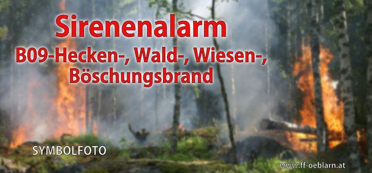 Sirenenalarm - Böschungsbrand